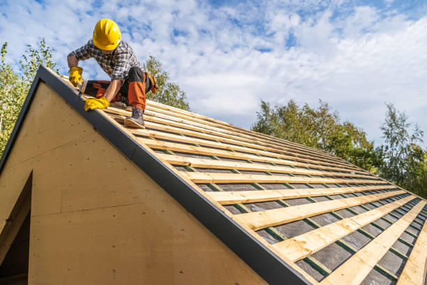 Best Roof Gutter Cleaning  in Elmira, NY